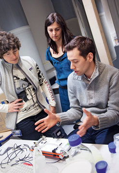 Planung im Team: Gemeinsam mit ihrem Doktoranden Grzegorz Chwastek und der Postdoktorandin Ariadna Martos bespricht Petra Schwille das Design einer neuen Messkammer für Modellmembranen.