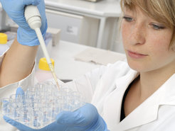 Unabhängig davon, welche Strategie sie verfolgen, nutzen Forscher in der Synthetischen Biologie auch Methoden der Molekularbiologie. Allerdings kombinieren sie diese mit neuen Ansätzen.