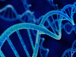 Die DNA enthält die Baupläne für Proteine, die in Zellen vielfältige Funktionen übernehmen. Um diesen genetischen Code relativ einfach verändern zu können, arbeiten Wissenschaftler in der Synthetischen Biologie mit künstlich hergestellter DNA.
