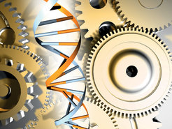 Die Synthetische Biologie verfolgt ingenieurwissenschaftliche Ansätze in der Biologie. © biotechnologie2020+