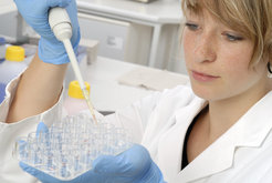 Unabhängig davon, welche Strategie sie verfolgen, nutzen Forscher in der Synthetischen Biologie auch Methoden der Molekularbiologie. Allerdings kombinieren sie diese mit neuen Ansätzen.
