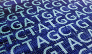 Bioingenieure sind in der Lage, das genetische Programm von Zellen gezielt umzugestalten. Auf diese Weise werden sie mit neuen Eigenschaften oder Fähigkeiten ausgestattet, die in der Natur so nicht vorkommen.